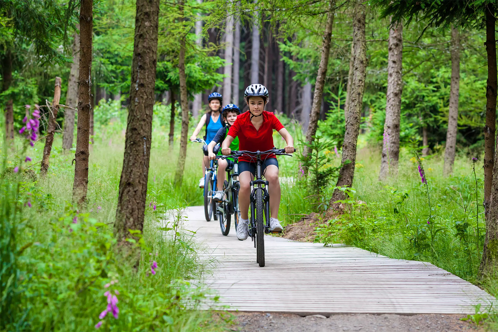 Cycling path around Jeseník